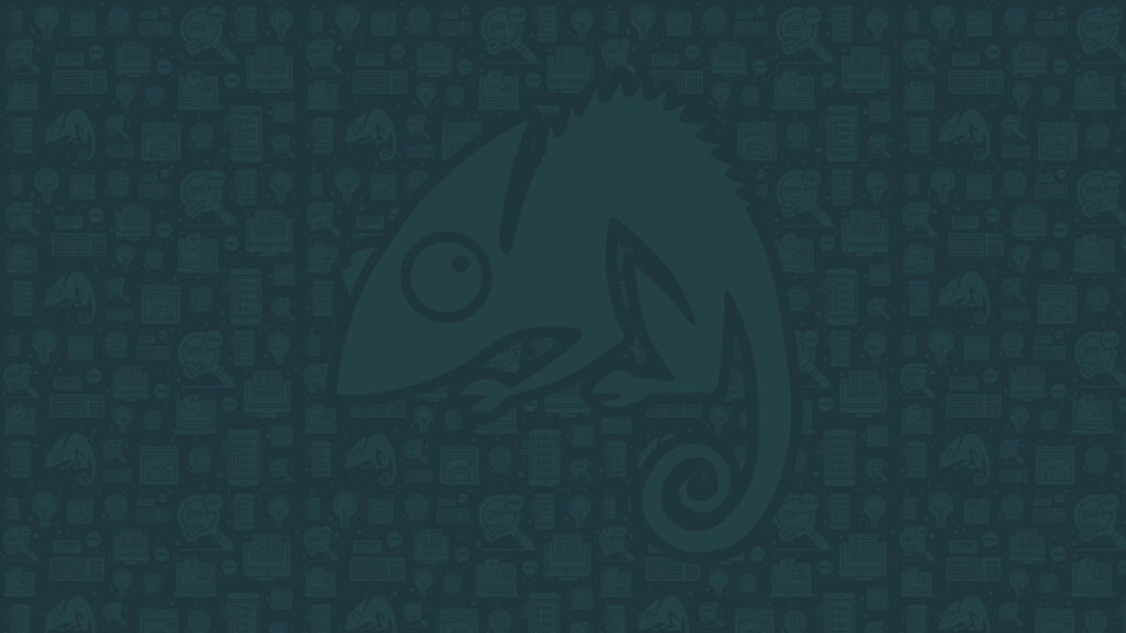 New Branding For Chameleon Marketing