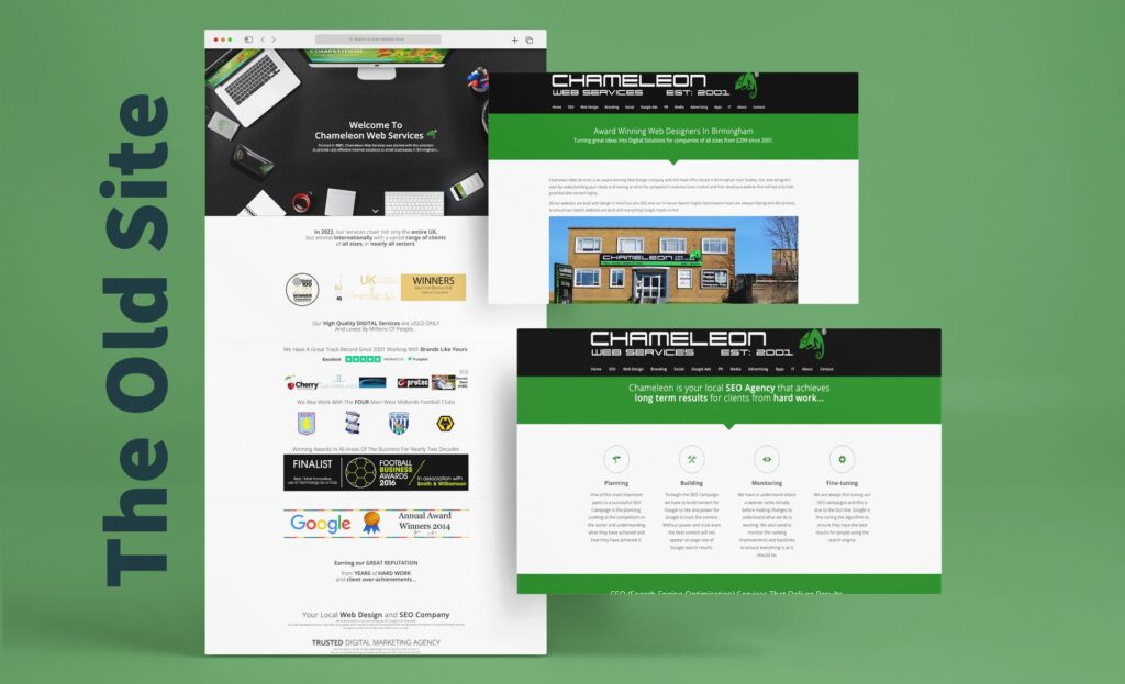 The Old Chameleon Website Design